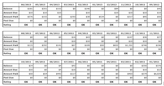 Are You a Revolver or a Transactor? The New Way Credit Bureaus Report Your Data